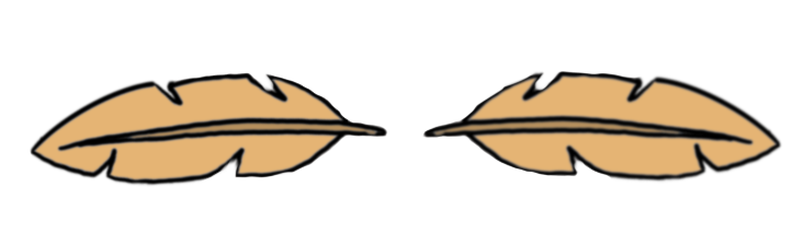 Symbolgrafik Schmuckfedern