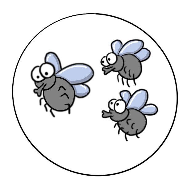 Grafik Drei fliegende Fliegen